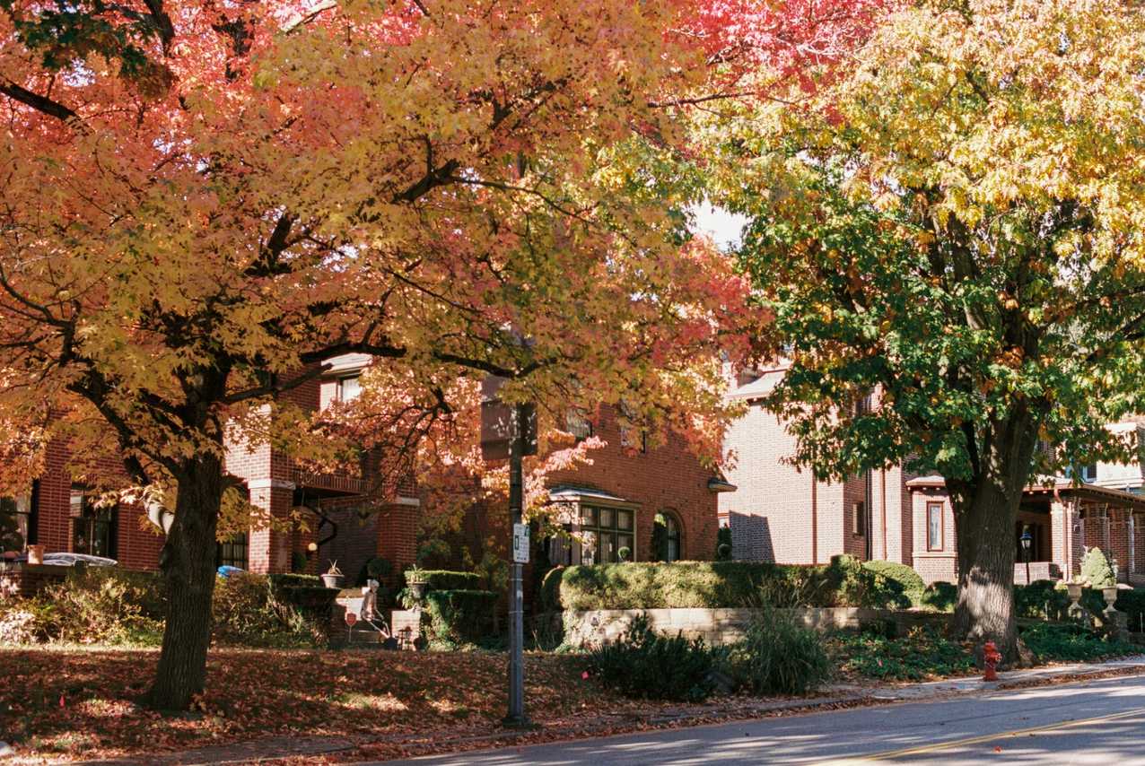 International students celebrating graduation with American flags, representing F-1 to green card journey