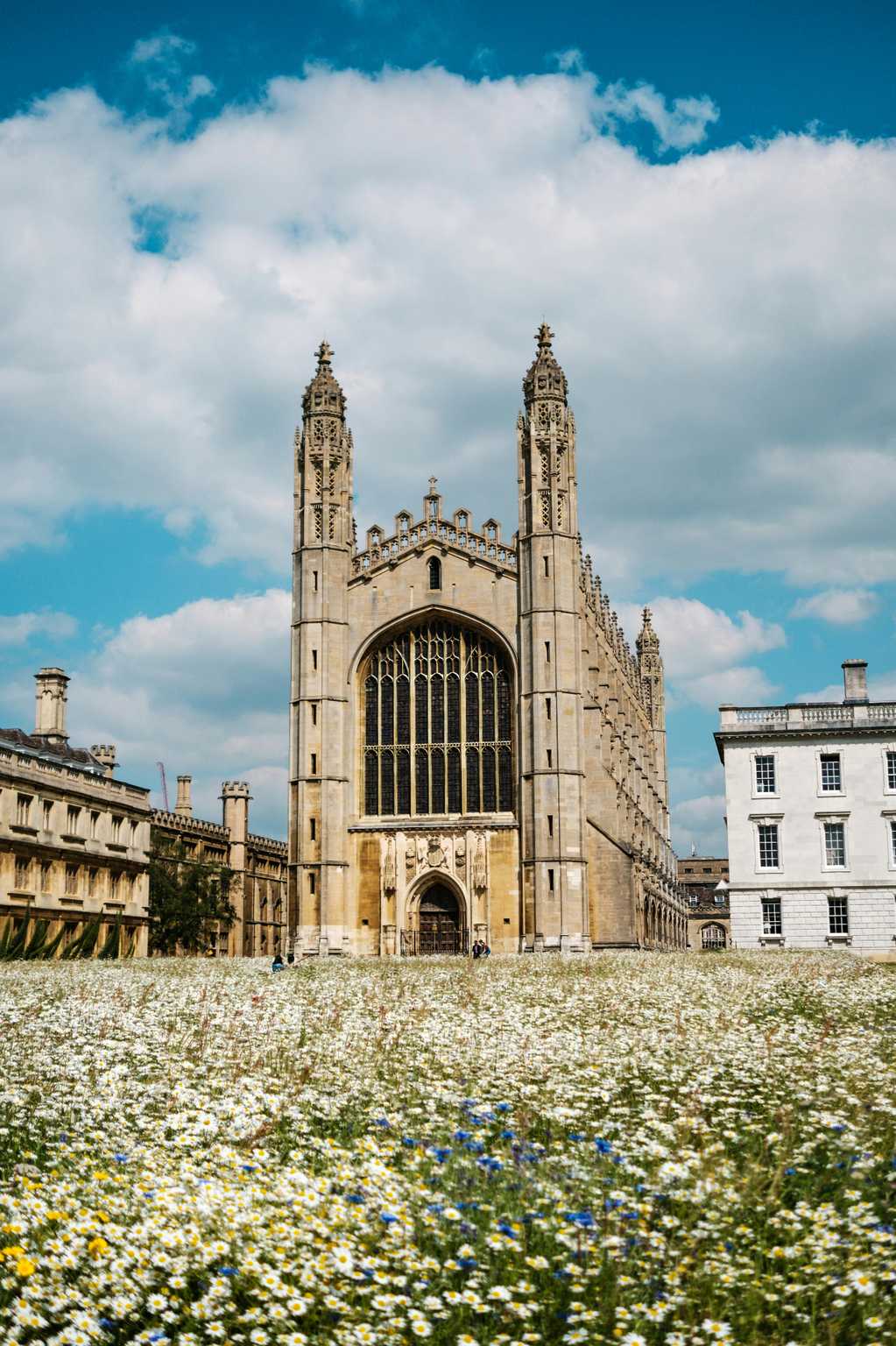 Gothic university chapel with wildflower meadow representing academic excellence and growth